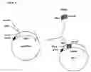 Fig. 03 - Chimeric proteins that induce effects directed against viruses