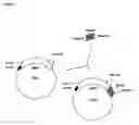 Fig. 07 - Chimeric proteins that induce effects directed against viruses