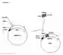 Fig. 12 - Chimeric proteins that induce effects directed against viruses