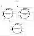 Fig. 03 - Cell surface expression vector of parvovirus antigen and microorganisms transformed thereof