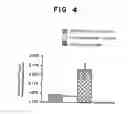 Fig. 04 - Recombinant protective protein from 