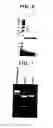 Fig. 05 - Recombinant protective protein from 