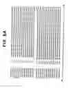 Fig. 06 - Recombinant protective protein from 