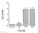 Fig. 09 - Compound and methods for diagnosis of tuberculosis