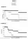 Fig. 04 - Glucan-based vaccines