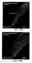 Fig. 21 - Forming coils