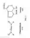 Fig. 02 - Drug-eluting biodegradable stent