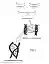 Fig. 04 - Drug-eluting biodegradable stent