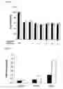 Fig. 09 - Method for stimulating angiogenesis and wound healing