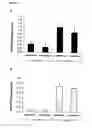 Fig. 10 - Method for stimulating angiogenesis and wound healing