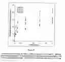 Fig. 18 - Method for stimulating angiogenesis and wound healing
