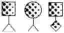 Fig. 807 - Engineered Biological Matrices