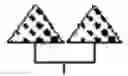 Fig. 812 - Engineered Biological Matrices