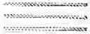 Fig. 813 - Engineered Biological Matrices