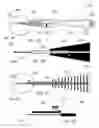 Fig. 04 - Glaucoma Implant Device