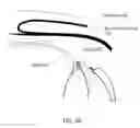 Fig. 07 - Glaucoma Implant Device