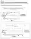 Fig. 02 - Liquid ganaxolone formulations and methods for the making and use thereof