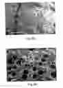 Fig. 07 - Blowing agent introduction systems and methods
