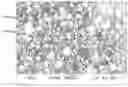 Fig. 01 - Frozen aerated confection