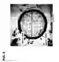 Fig. 07 - Encapsulated Phospholipid-Stabilized Oxidizable Material