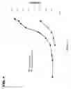 Fig. 02 - PHOSPHOLIPID-STABILIZED OXIDIZABLE MATERIAL