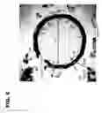 Fig. 07 - PHOSPHOLIPID-STABILIZED OXIDIZABLE MATERIAL