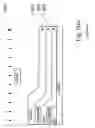 Fig. 11 - Method of fabricating organic light emitting diode array