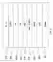 Fig. 03 - Method for forming multi-layer cathode in organic light-emitting devices