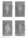 Fig. 11 - Manufacturing method of electroluminescent device