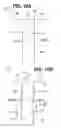 Fig. 11 - Method for producing membrane-electrode assembly for fuel cell