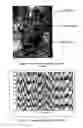 Fig. 02 - Process for controlling the density, conformation and composition of the hydrophilic layer of a polyurethane composite