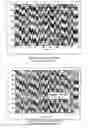Fig. 03 - Process for controlling the density, conformation and composition of the hydrophilic layer of a polyurethane composite