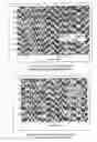 Fig. 07 - Process for controlling the density, conformation and composition of the hydrophilic layer of a polyurethane composite