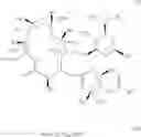 Fig. 20 - Novel 14 and 15 membered ring compounds