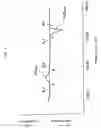 Fig. 06 - Foamed sheet of polylactic acid resin, foam molding of polylactic acid resin and method of preparing foam molding