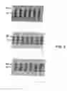 Fig. 06 - Optical data storage article having a physical surface modification as an anti-theft feature and a system and method for inhibiting theft of same