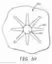 Fig. 17 - Composite webs and closure systems