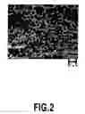 Fig. 03 - Metal-based carbon fiber composite material and method for producing the same