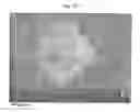 Fig. 07 - Emulsion-based control of electrospun fiber morphology