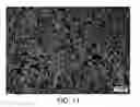Fig. 14 - Block copolymer particles