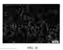Fig. 16 - Block copolymer particles