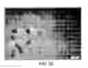 Fig. 25 - Block copolymer particles