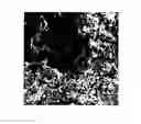 Fig. 01 - Nanoparticle surface treatment