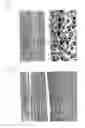 Fig. 02 - Copper foil having blackened surface or layer