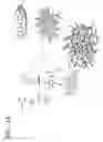 Fig. 02 - Polybenzoxazine-based compound, electrolyte membrane including the same, and fuel cell employing the electrolyte membrane