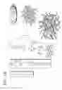Fig. 03 - Polybenzoxazine-based compound, electrolyte membrane including the same, and fuel cell employing the electrolyte membrane