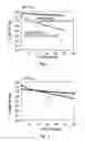 Fig. 02 - High ionic conductivity gel polymer electrolyte for rechargeble polymber secondary battery