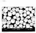 Fig. 03 - Ferrite carrier core material for electrophotography, ferrite carrier for electrophotography and methods for producing them, and electrophotographic developer using the ferrite carrier