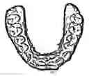 Fig. 06 - Image-based orthodontic treatment viewing system