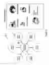 Fig. 10 - Educational method for improving dietary habits